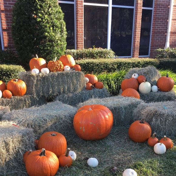 Meet your Posher, Rima - Picture 1 of 1